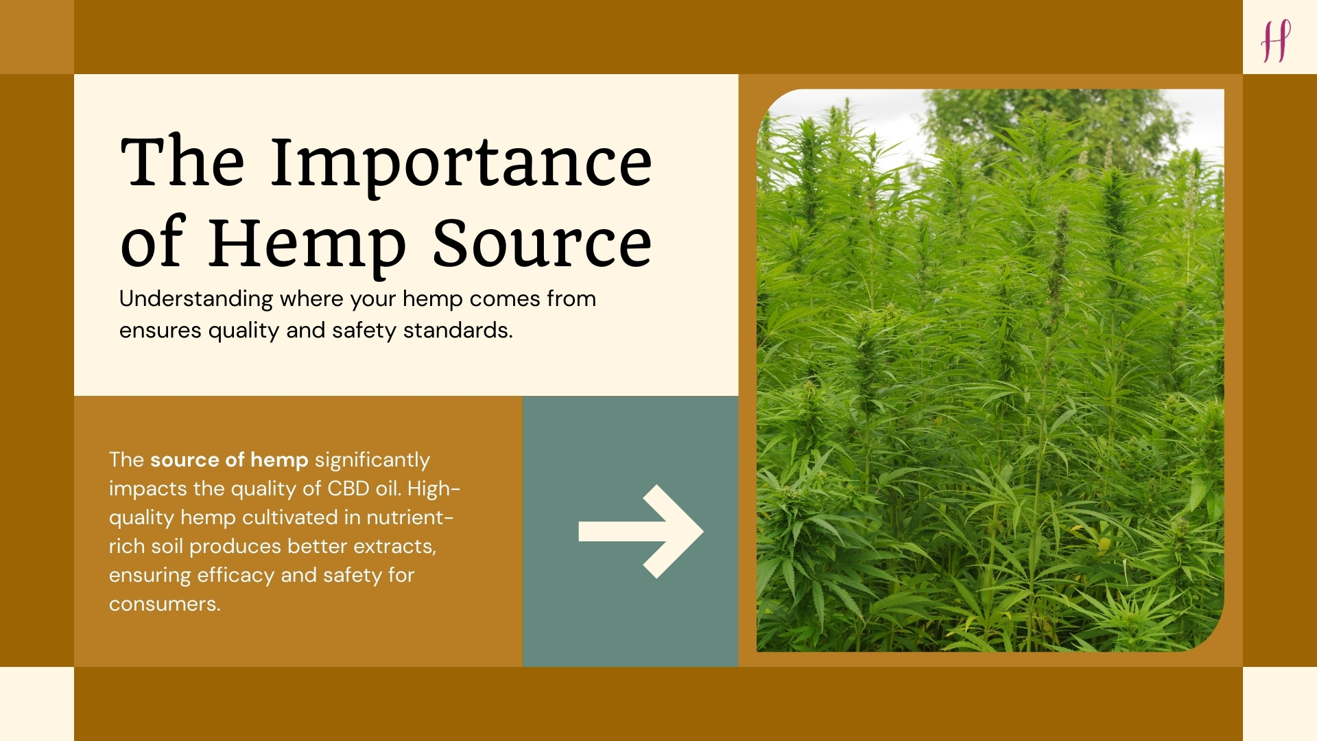 cbd oil manufacturer in India